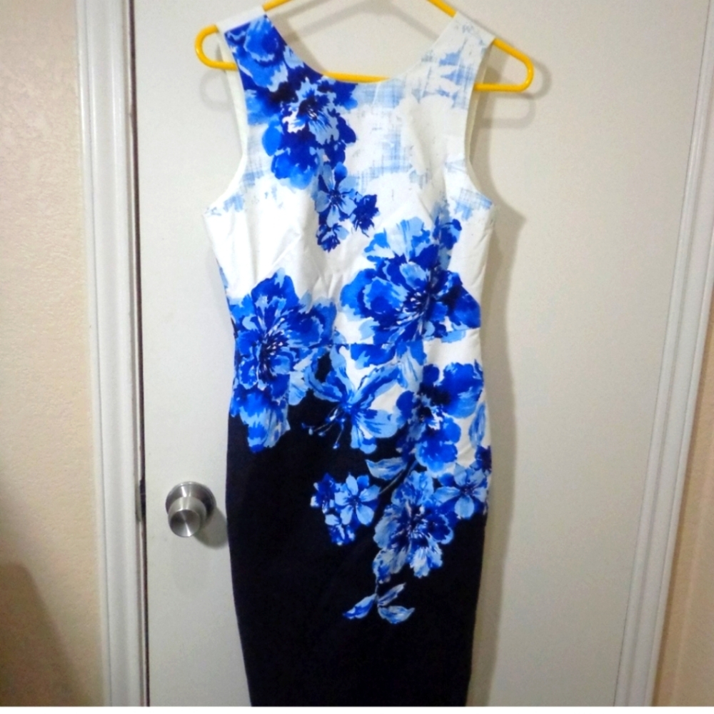 Anthropologie Dress ( maeve ) sz 8